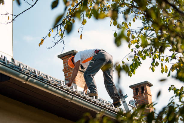 Best Roof Leak Repair  in Ellwood City, PA