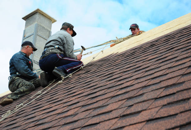 Best Roof Waterproofing Services  in Ellwood City, PA